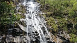 MP Tourism