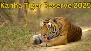 Kanha Tiger Reserve 2025